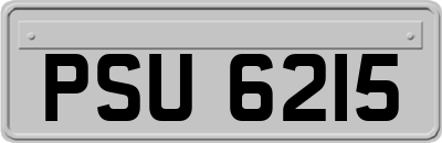 PSU6215