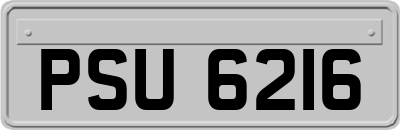 PSU6216
