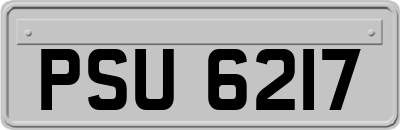 PSU6217