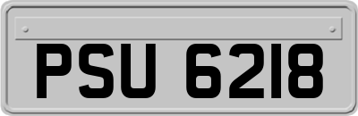 PSU6218