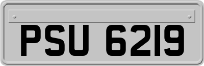 PSU6219