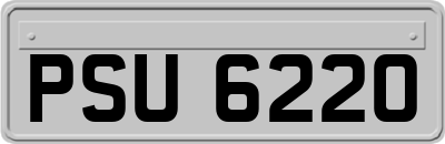 PSU6220