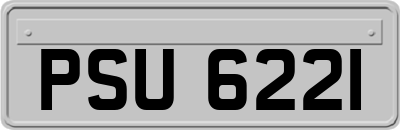 PSU6221