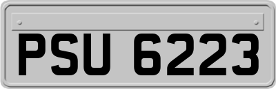 PSU6223