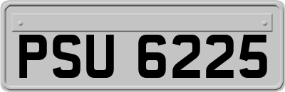 PSU6225