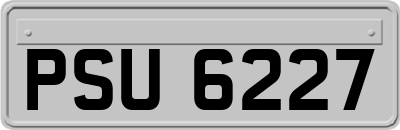 PSU6227