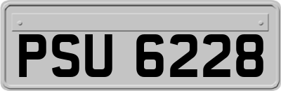 PSU6228