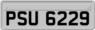 PSU6229