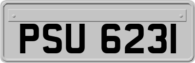 PSU6231