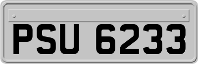 PSU6233