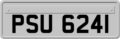 PSU6241