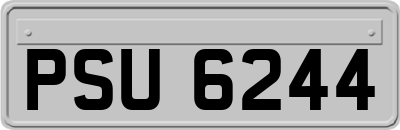 PSU6244