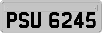 PSU6245