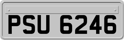 PSU6246