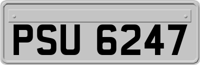 PSU6247