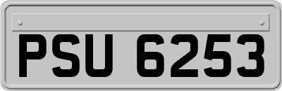 PSU6253