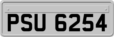 PSU6254
