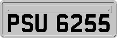 PSU6255