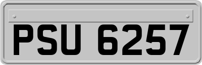 PSU6257