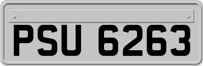 PSU6263