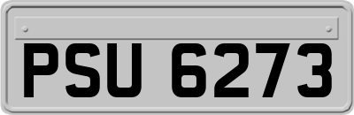PSU6273