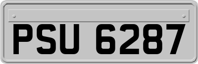 PSU6287