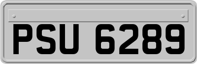 PSU6289