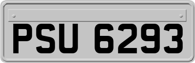 PSU6293