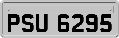 PSU6295