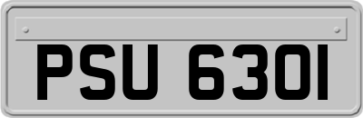 PSU6301