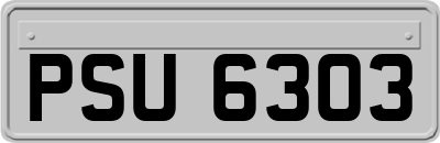 PSU6303
