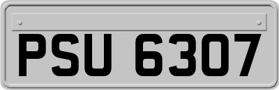 PSU6307