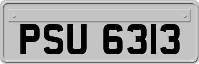 PSU6313