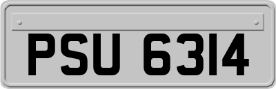 PSU6314