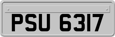 PSU6317
