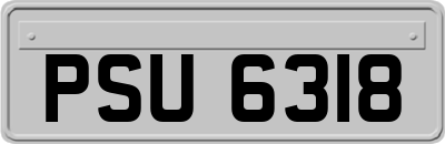 PSU6318