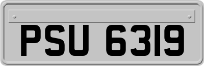 PSU6319