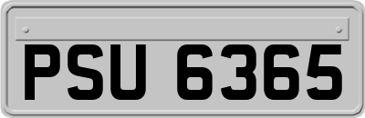 PSU6365