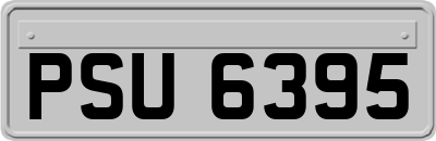 PSU6395