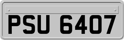 PSU6407