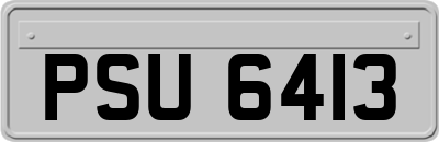 PSU6413