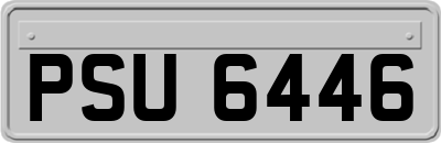 PSU6446