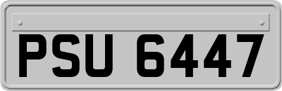 PSU6447