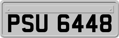 PSU6448