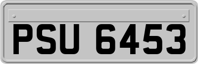 PSU6453
