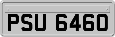 PSU6460