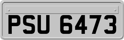 PSU6473
