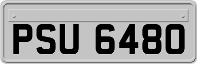 PSU6480