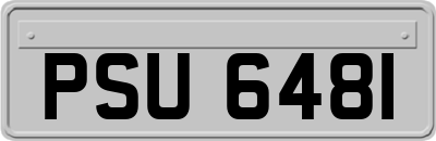 PSU6481