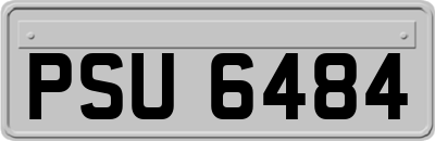 PSU6484